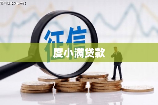 泊头度小满贷款