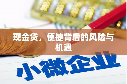 泊头现金贷，便捷背后的风险与机遇