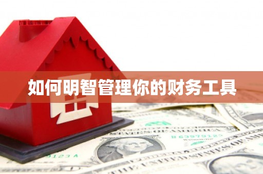 泊头如何明智管理你的财务工具