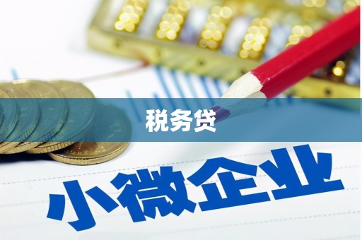 泊头税务贷