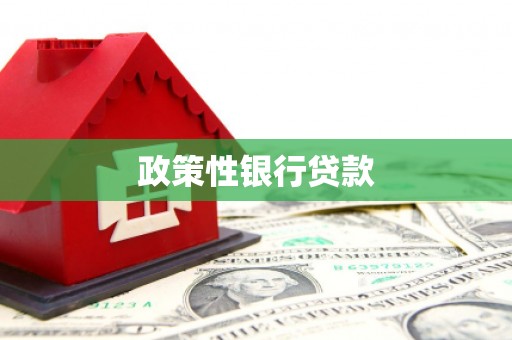 泊头政策性银行贷款