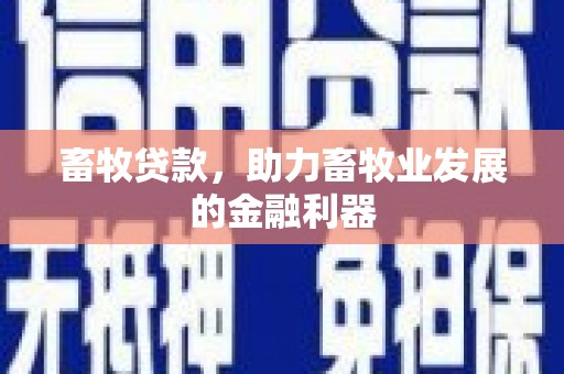 泊头畜牧贷款，助力畜牧业发展的金融利器