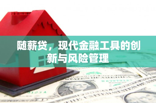 泊头随薪贷，现代金融工具的创新与风险管理