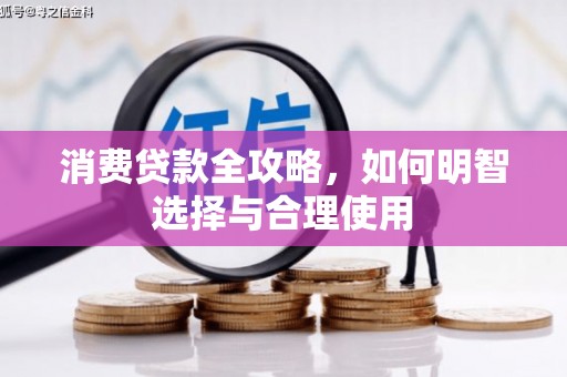 泊头消费贷款全攻略，如何明智选择与合理使用