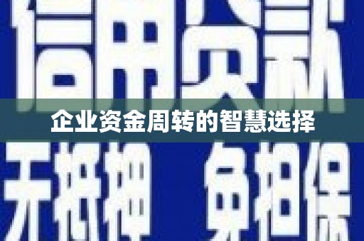 泊头企业资金周转的智慧选择