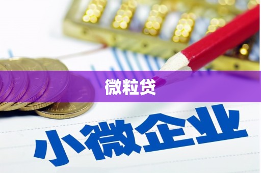 泊头微粒贷