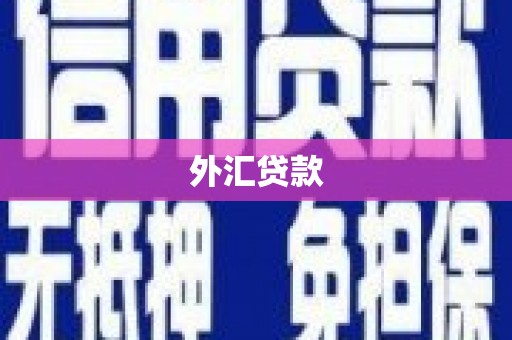 泊头外汇贷款