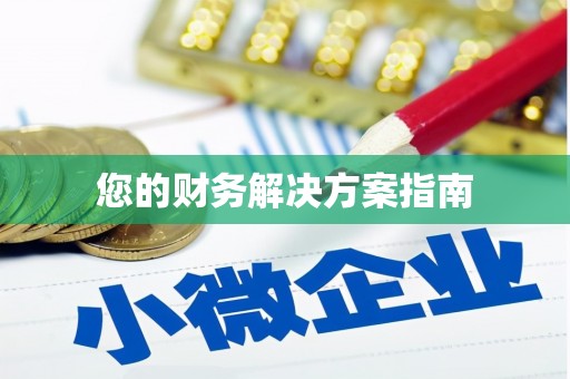 泊头您的财务解决方案指南