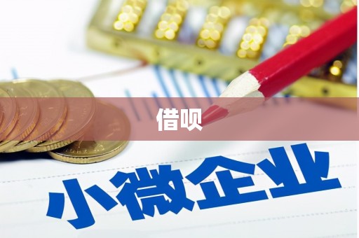 泊头借呗