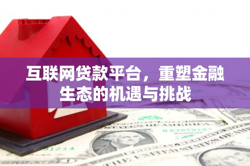 泊头互联网贷款平台，重塑金融生态的机遇与挑战