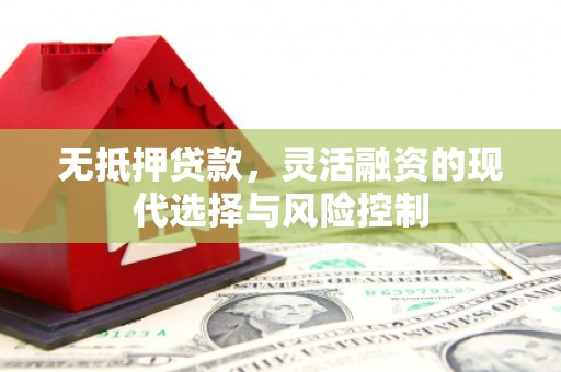 泊头无抵押贷款，灵活融资的现代选择与风险控制