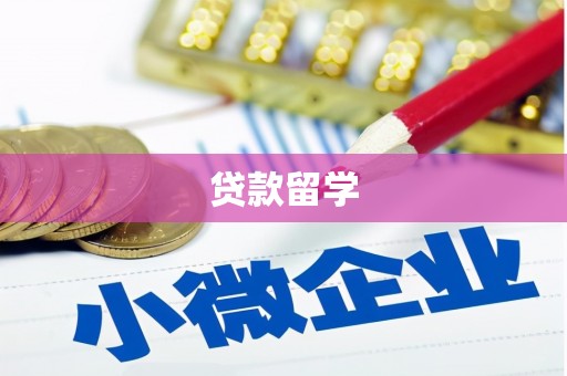 泊头贷款留学