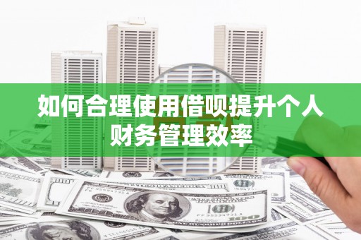 泊头如何合理使用借呗提升个人财务管理效率
