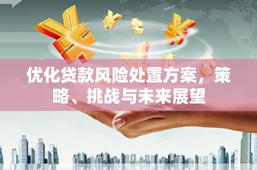 泊头优化贷款风险处置方案，策略、挑战与未来展望