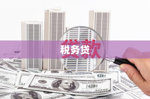 泊头税务贷