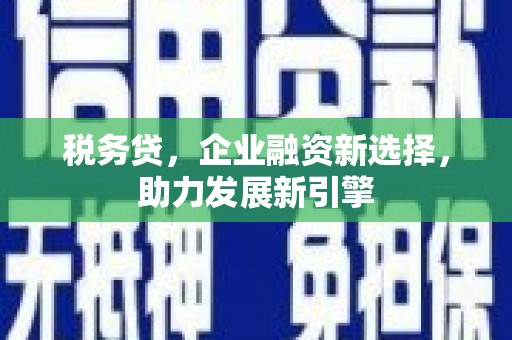泊头税务贷，企业融资新选择，助力发展新引擎