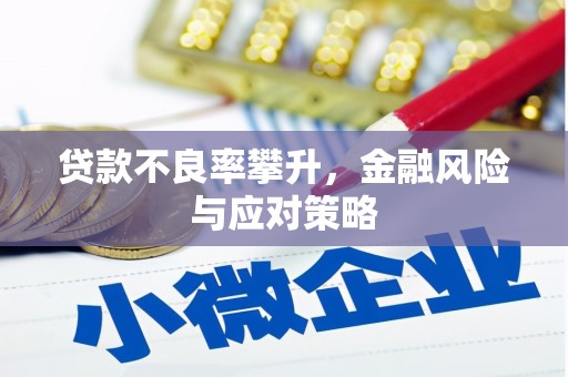 泊头贷款不良率攀升，金融风险与应对策略