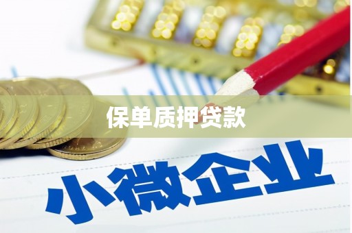 泊头保单质押贷款