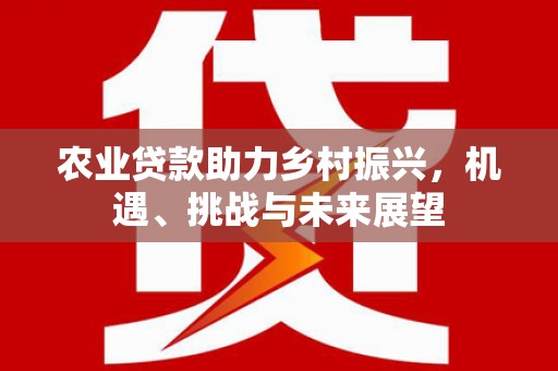 泊头农业贷款助力乡村振兴，机遇、挑战与未来展望