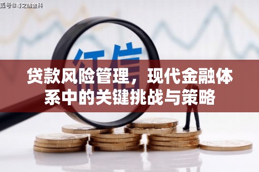 泊头贷款风险管理，现代金融体系中的关键挑战与策略