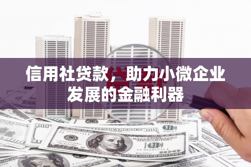 泊头信用社贷款，助力小微企业发展的金融利器
