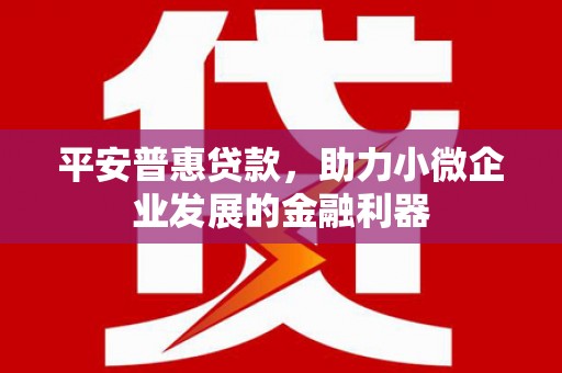 泊头平安普惠贷款，助力小微企业发展的金融利器