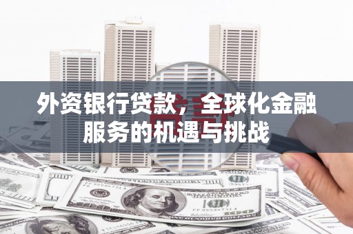 泊头外资银行贷款，全球化金融服务的机遇与挑战