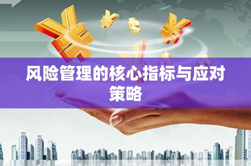 泊头风险管理的核心指标与应对策略