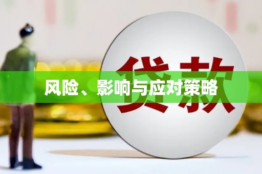 泊头风险、影响与应对策略