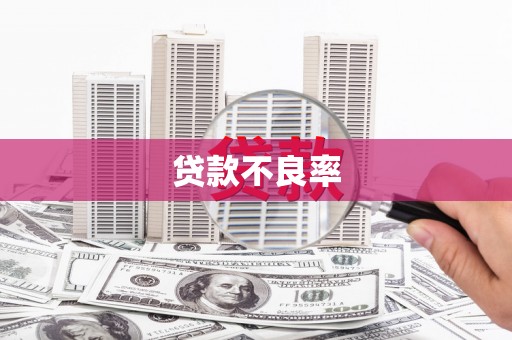泊头贷款不良率