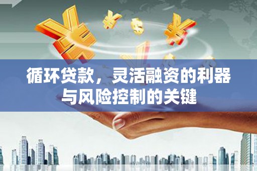 泊头循环贷款，灵活融资的利器与风险控制的关键