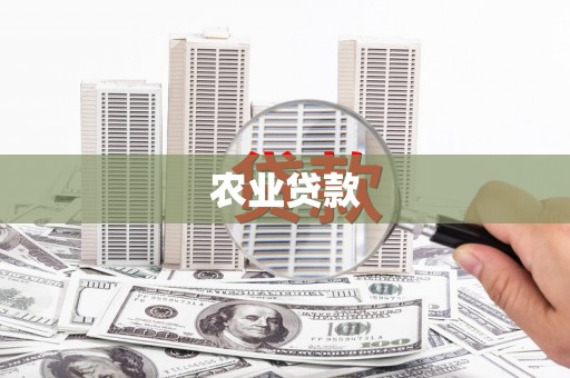 泊头农业贷款