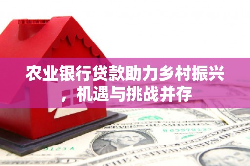 泊头农业银行贷款助力乡村振兴，机遇与挑战并存