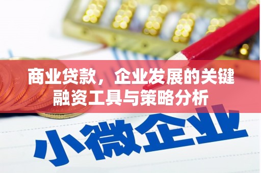 泊头商业贷款，企业发展的关键融资工具与策略分析