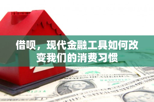 泊头借呗，现代金融工具如何改变我们的消费习惯