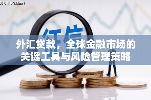 泊头外汇贷款，全球金融市场的关键工具与风险管理策略