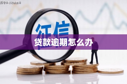 泊头贷款逾期怎么办