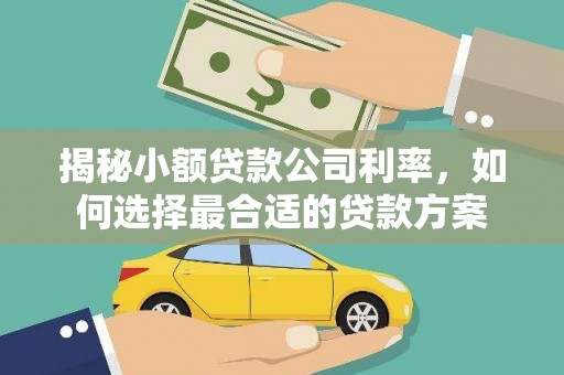 泊头揭秘小额贷款公司利率，如何选择最合适的贷款方案