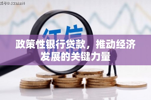 泊头政策性银行贷款，推动经济发展的关键力量