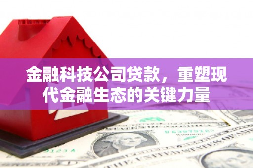 泊头金融科技公司贷款，重塑现代金融生态的关键力量