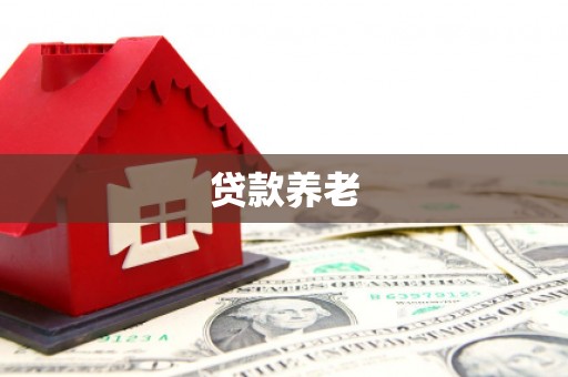 泊头贷款养老