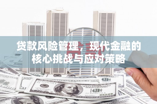 泊头贷款风险管理，现代金融的核心挑战与应对策略