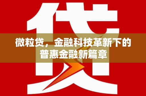 泊头微粒贷，金融科技革新下的普惠金融新篇章