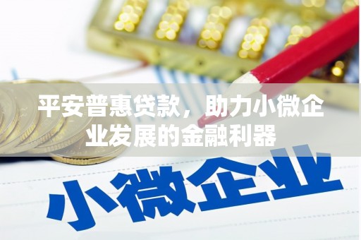 泊头平安普惠贷款，助力小微企业发展的金融利器
