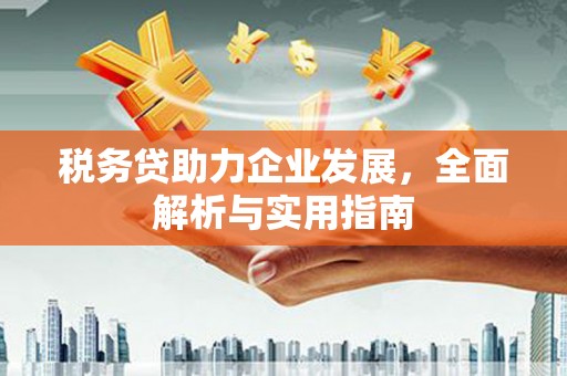 泊头税务贷助力企业发展，全面解析与实用指南