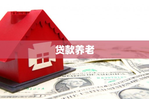 泊头贷款养老