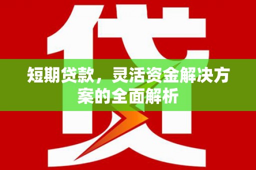 泊头短期贷款，灵活资金解决方案的全面解析