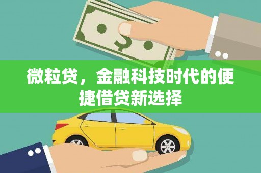 泊头微粒贷，金融科技时代的便捷借贷新选择