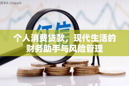 泊头个人消费贷款，现代生活的财务助手与风险管理