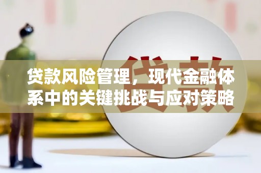 泊头贷款风险管理，现代金融体系中的关键挑战与应对策略